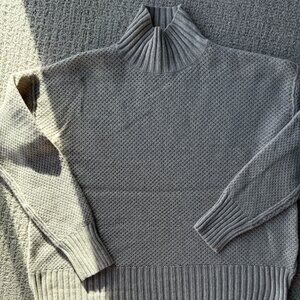 Everlane Gray Turtleneck Sweater
